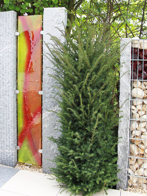 Sichtschutz modern
